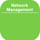 Network Management - Tampa, St. Petersburg, Florida